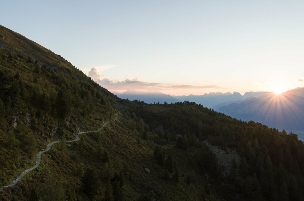 Zirbenweg hoch über Innsbruck 